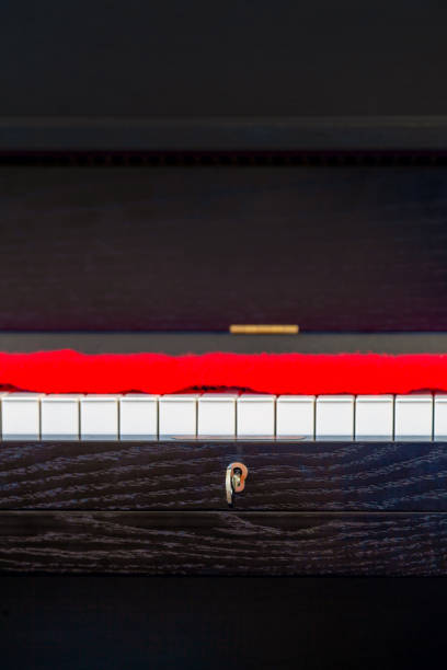 Close up image of piano keys and locking key.