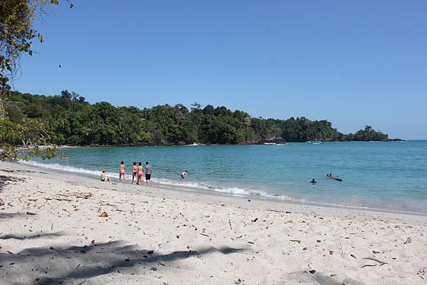 istock Turquoise Beach - Manuel Antonio National Park 2205114899