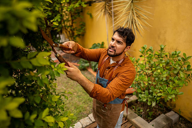 istock Mid adult man pruning garden at home 2205122951