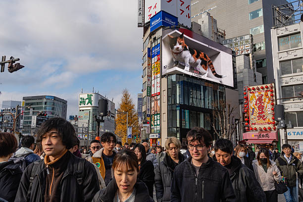 Tokyo, Japan-January 15, 2025: The hyperrealistic 3D calico cat moving video billboard in the Shinjuku neighborhood with people walking nearby.