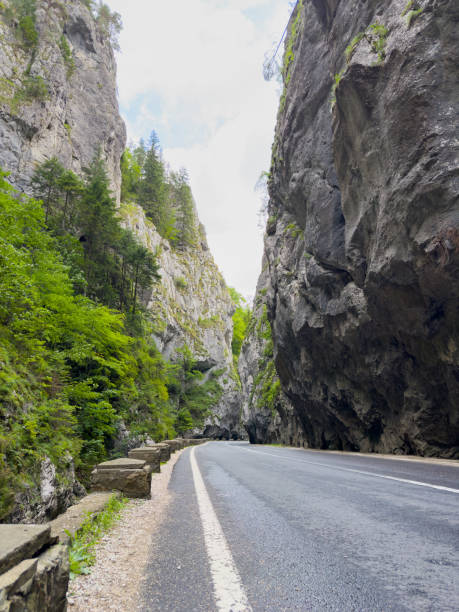 istock A road through a narrow canyon with rocks and trees 2205126620