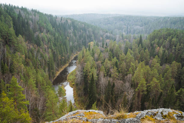 istock A picturesque river gracefully flows through a vibrant and lush green forest that is nestled in the majestic mountains, creating a stunning display of natures beauty and tranquility 2205126797