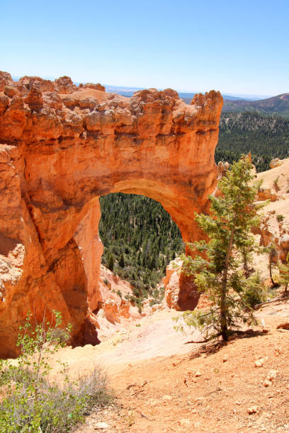 Bryce Canyon National Park, Utah Arch Natural, Blue Sky