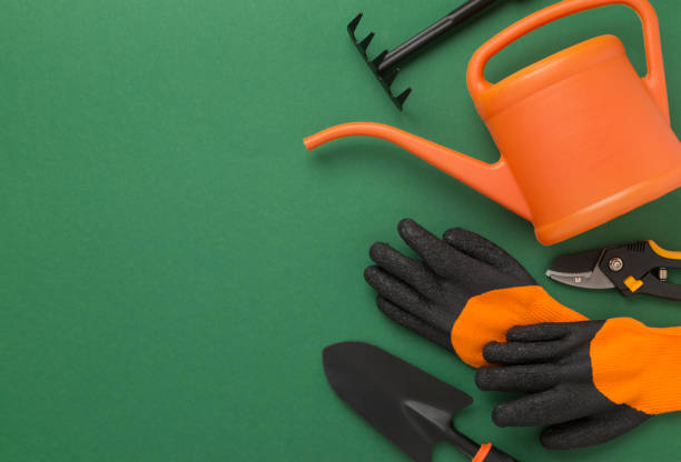 istock Orange gardening tools on color background, top view 2205142183