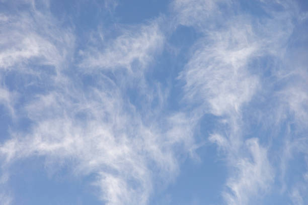 Wispy cirrus clouds stretch across a pale blue sky, creating an ethereal and dreamy atmosphere. These high-altitude clouds, composed of ice crystals, form intricate feather-like patterns that add texture to the vast open sky. The light and airy composition make this a perfect background or nature-inspired visual.
