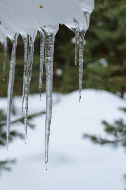 istock icicles against a snowy landscape 2205142761