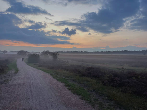 istock Misty Heathland Path at Sundown on Zuiderheide, Hilversum, Netherlands 2205145921