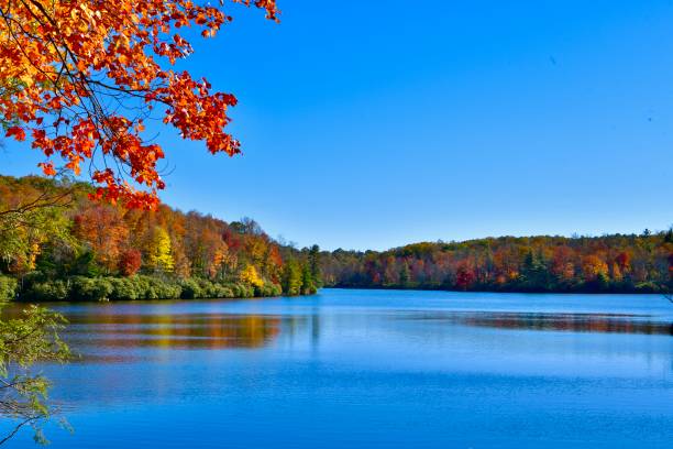 istock Price Lake, USA 2205153814