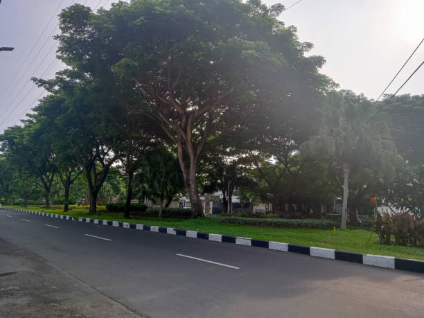 istock Serene Urban Street with Greenery 2205154033