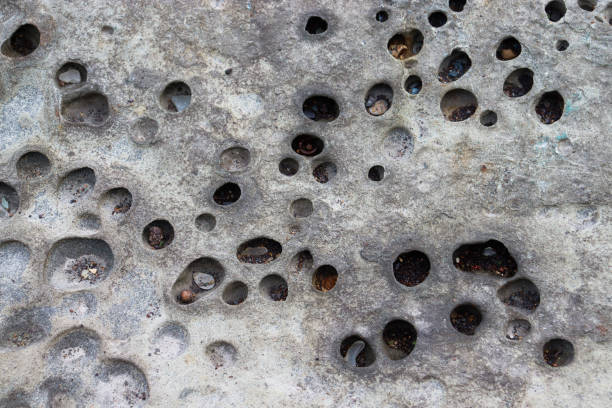 Sea and rocks. Stone texture. Perforated rocks. Travel.