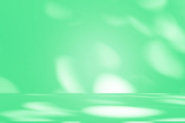 istock Studio style background wall decoration presentation uses white and green tones. with shadows cast from a nearby window, concept creating a decorative 2205165182