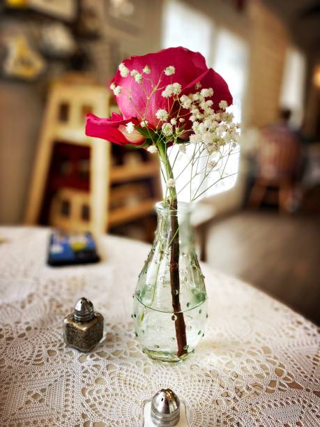 Rose in a Small Vase with Salt and Pepper