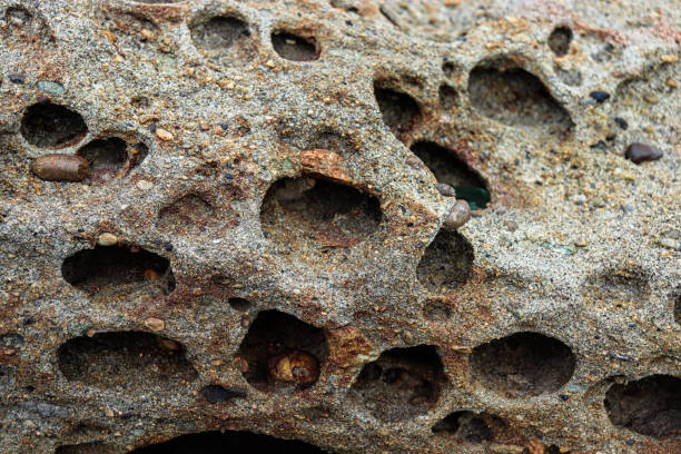 istock Sea and rocks. Stone texture. Perforated rocks. Travel. 2205168518