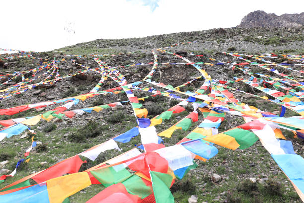 The image showcases a vibrant display of colorful prayer flags fluttering in the wind against a rugged, rocky backdrop. The flags, with their bright and diverse colors, create a striking contrast against the natural, earthy tones of the landscape. This scene is likely from a high-altitude region, where such flags are often seen as part of cultural or spiritual practices. The sky above is overcast, adding a serene and contemplative atmosphere to the scene.