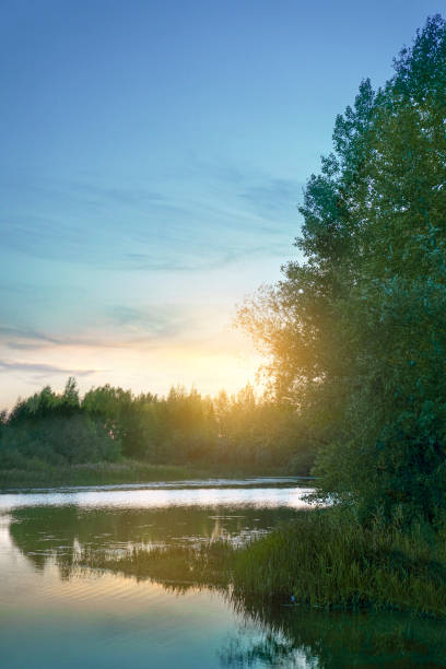 sunset on the river, green trees, sun, bank, river,\nblue sky