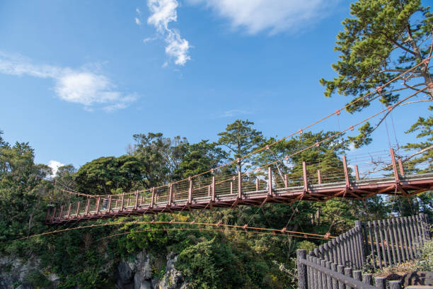 istock Scenery video of Japan's beautiful coastline (Jogasaki Coast, Shizuoka Japan) 2205175489