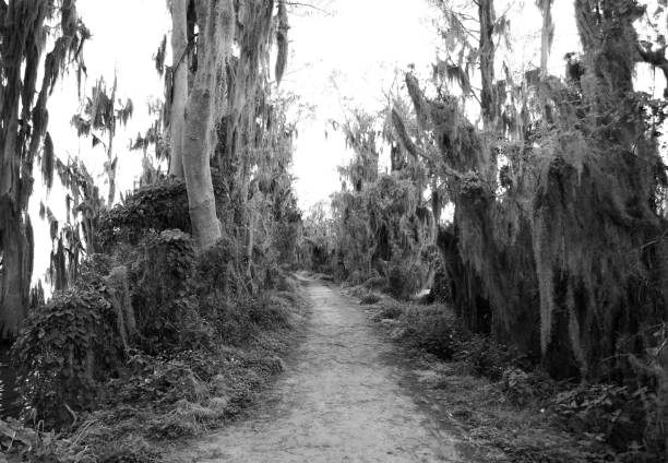 In Circle B Bar Reserve, Florida