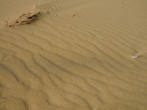 Medium format shot of waves on the sand
