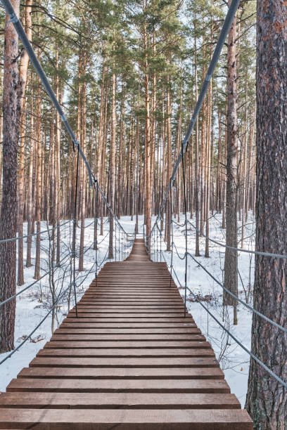 istock Wooden Suspension Bridge in Snowy Pine Forest 2205187442
