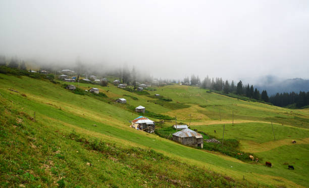 istock Golyani Plateau is in Giresun, Turkey. 2205188295