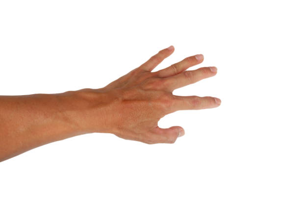 istock Asian man's hand making an outstretched gesture on a white background. 2205189601