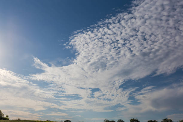 Section of the blue sky with stratocumulus floccus clouds over the field and tree tops silhouettes at summer sunny day