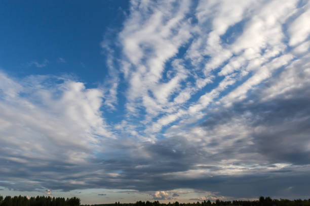 Blue sky with cumulus and storm clouds over the trees