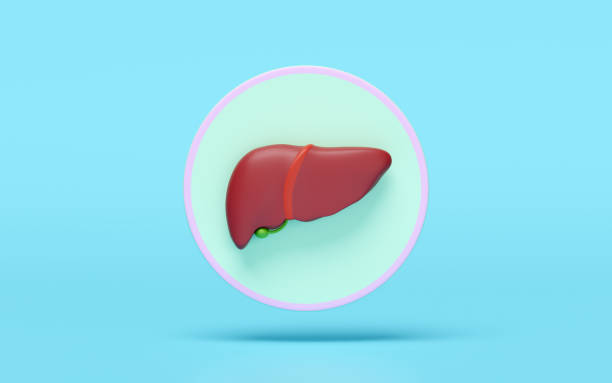 istock 3d realistic human liver icon isolated on blue background. organs concept, 3d illustration render 2205198593