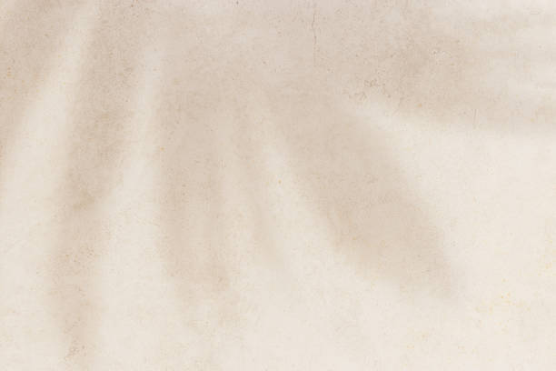 istock Summer minimal style background with shadow from natural palm leaf on light beige concrete background, hard light, copy space. Pastel colored aesthetic photo with palm shadows at sunlight. 2205201329