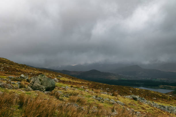 Field with rocks, leading to rolling hills under a gray, overcast sky.