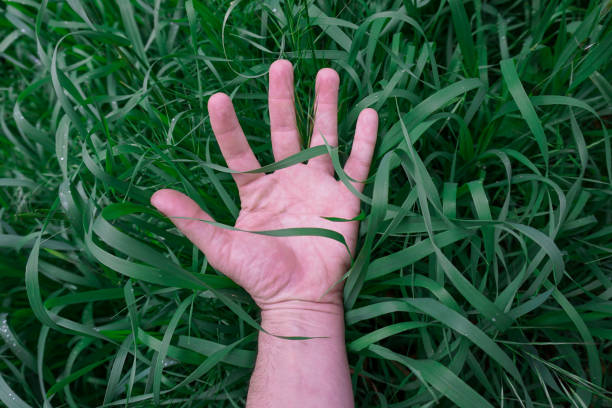A close up of the hand of a small child, after she dug into the dirt.