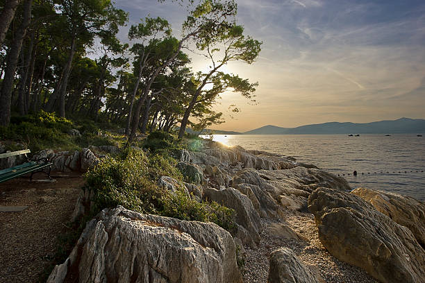 istock stony shore of the Adriatic Sea 2205205599