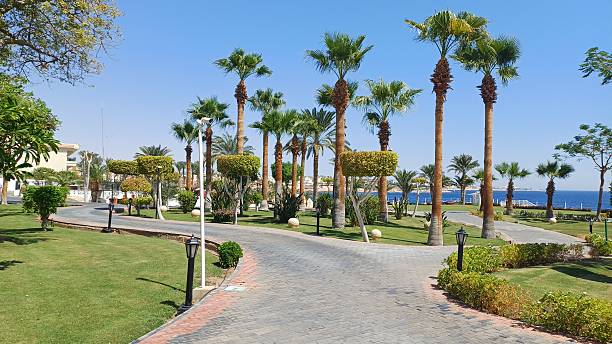 istock Park at a resort in Sharm el Sheikh 2205207752
