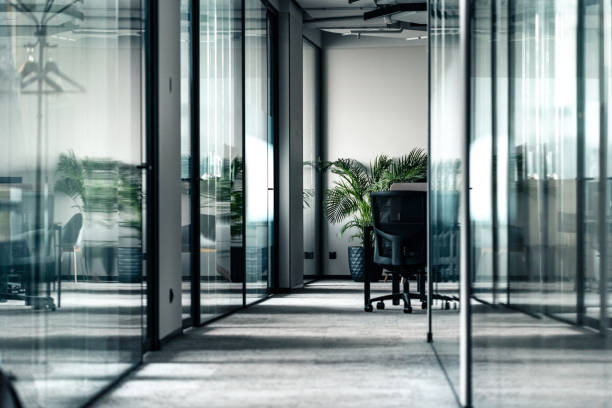 istock Modern office space with glass partitions and a green potted plant 2205209279