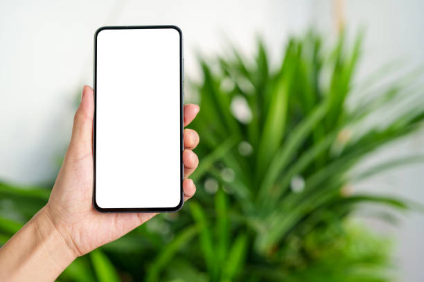 istock Hand Holding Smartphone with Blank Screen Against White Wall and Green Plant 2205212558