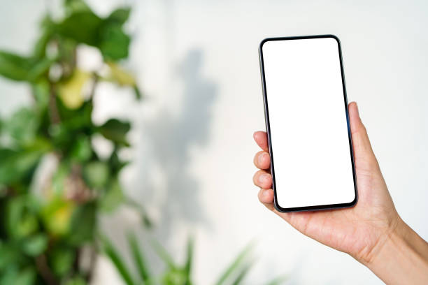 istock Hand Holding Smartphone with Blank Screen Against White Wall and Green Plant 2205214448