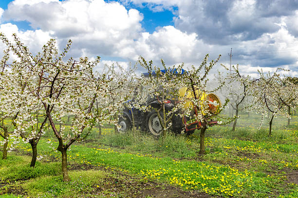 istock Apple fruit tree spraying with a tractor and agricultural machinery in summer.Blossoming trees in spring in rural scenery with deep blue sky.Spraying orchard to protect against disease and insects. 2205215048