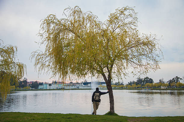 Batumi, Georgia– 26, March, 2017: A man leaning on a tree watches the small lake in Batumi city center