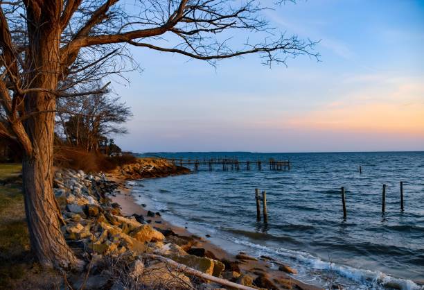 istock Dawn view, Chesapeake Bay coastline and piers 2205216872