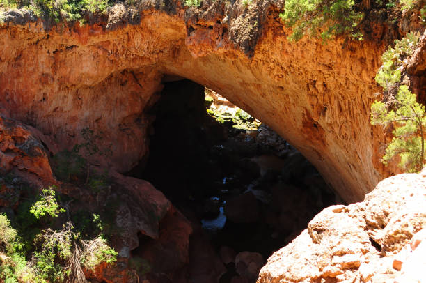istock Tonto National Forest Arizona 2205216950