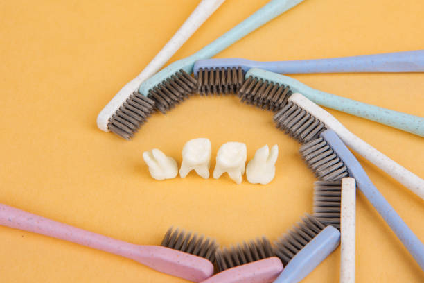 The toothbrush surrounds the teeth
