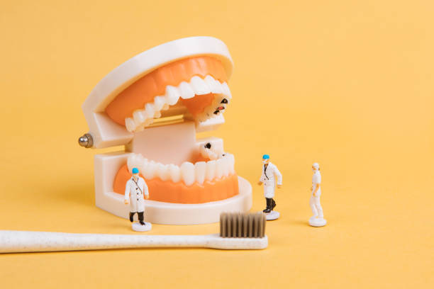 Dentist inspects teeth, toothbrush teeth, miniature landscape