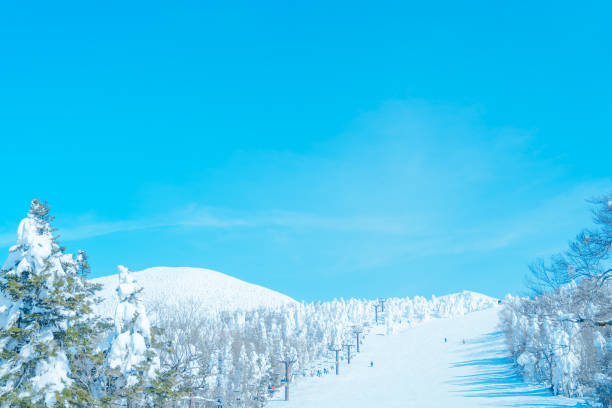 Beautiful ice monster at Yamagata zao.