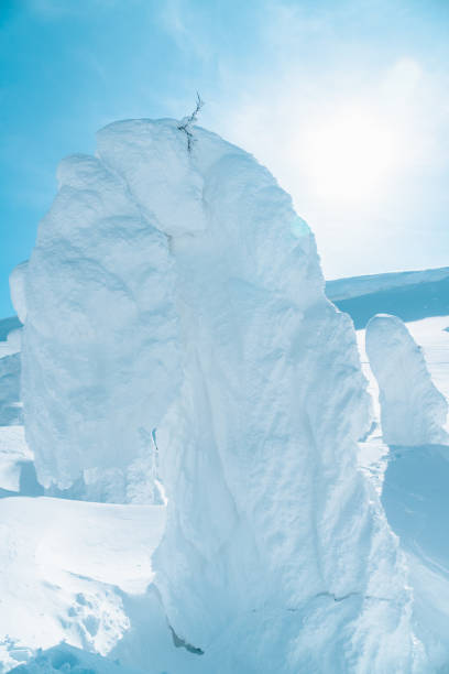 Beautiful ice monster at Yamagata zao.
