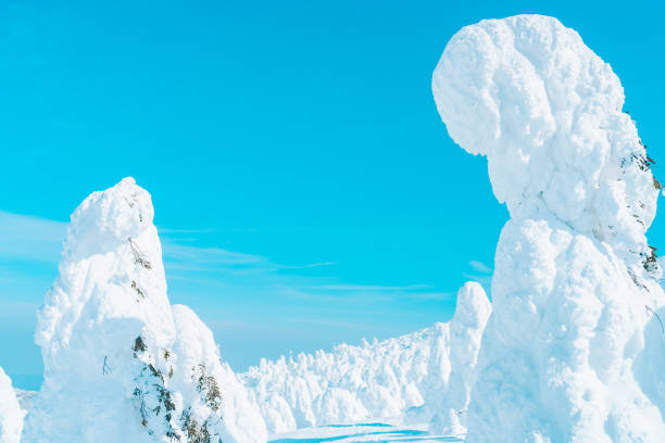 Beautiful ice monster at Yamagata zao.