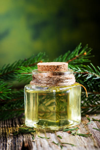 istock bottle of aromatic oil spruce and young branches 2205220463