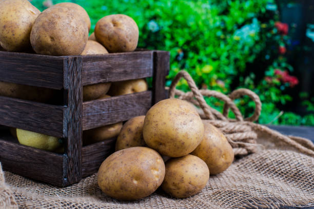 istock wooden box with potatoes 2205220888