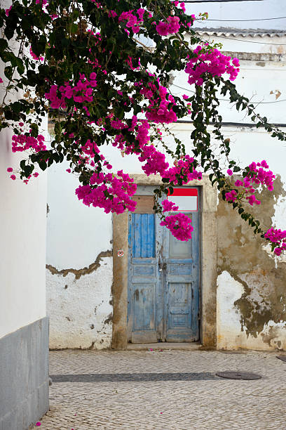 istock Olhao  algarve portugal 2205223938