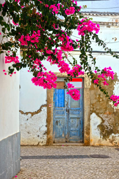 istock Olhao  algarve portugal 2205223939