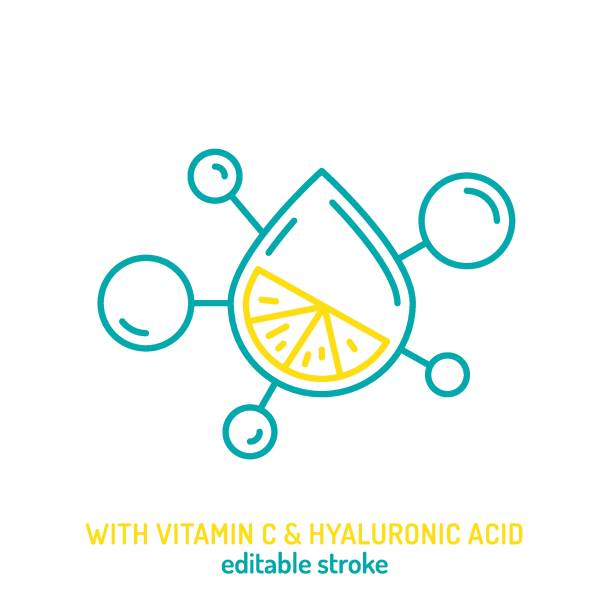 With vitamin C and hyaluronic acid line icon. Editable stroke. With vitamin C and hyaluronic acid line icon. Important beauty ingredient pictogram, minimalist sign. Editable stroke. Medical symbol in outline style. Vector illustration isolated on a white background vitamin c chemical formula stock illustrations
